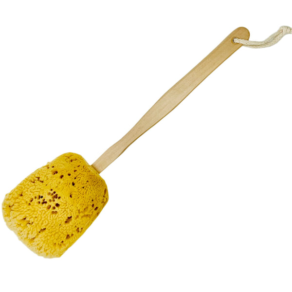 Natural Sea Sponge Stick