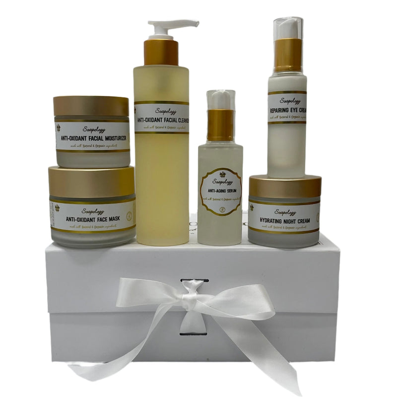 Holiday Skincare Gift Set